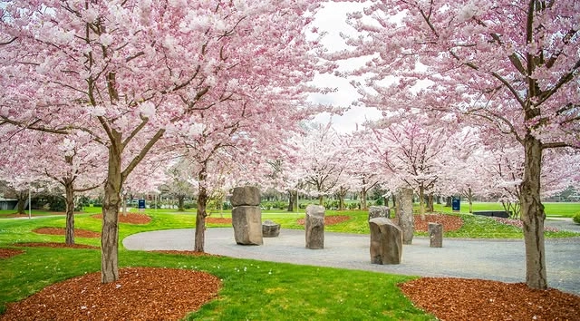 Spring in Ridgefield, WA - Seasonal HVAC Tips